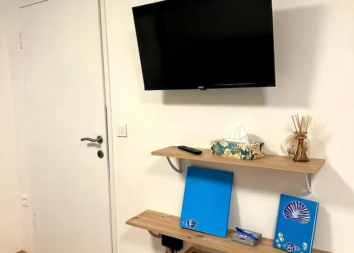 Διαμέρισμα Seashell *